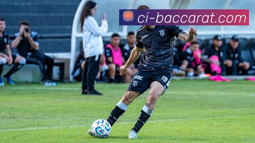 百家乐官网平台生态图